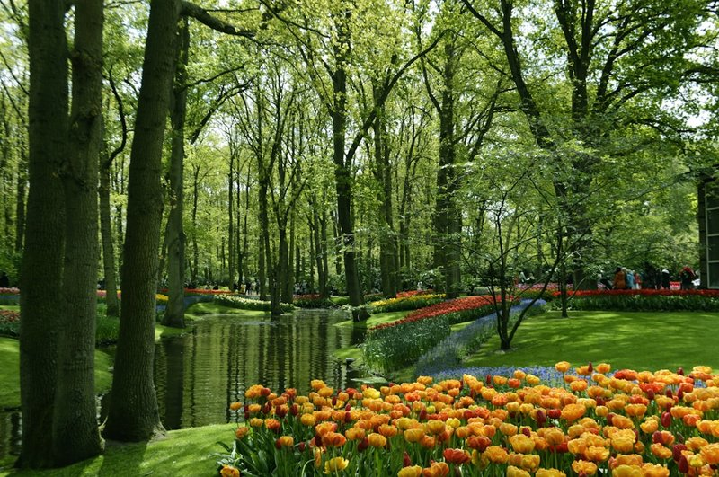 Netherlands - nyxbets nederland